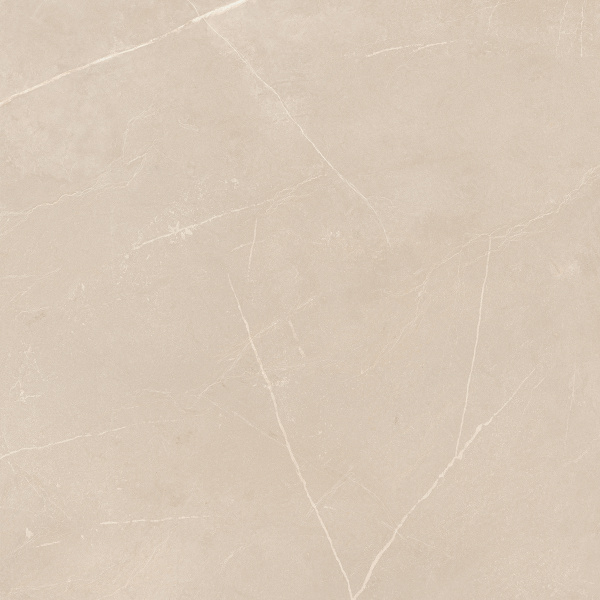 NL01 60x60x10 Полир. (Керамический гранит)
