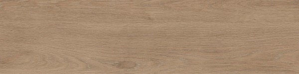 На изображениях RF02 14,6x60x8 Структур.Рект. (Керамический гранит)