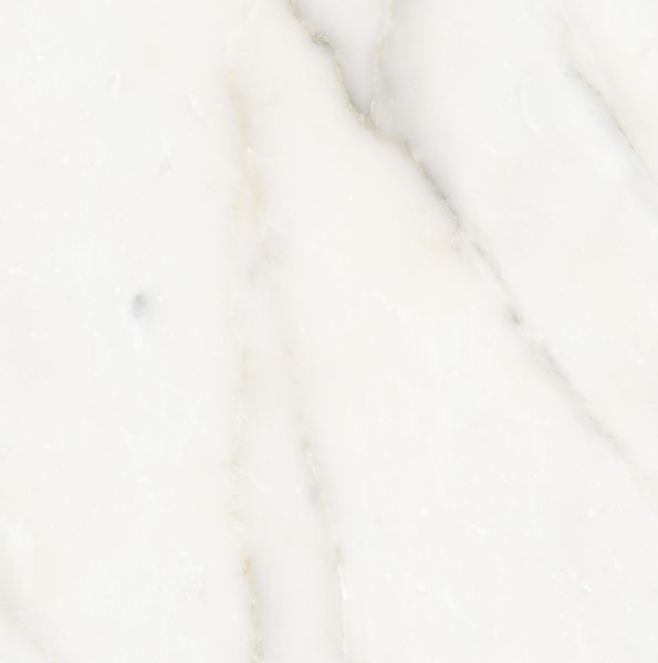 На изображениях Ideal