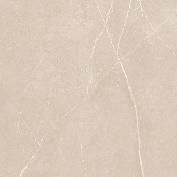 На изображениях NL01 60x60x10 Непол.Рект. (Керамический гранит)