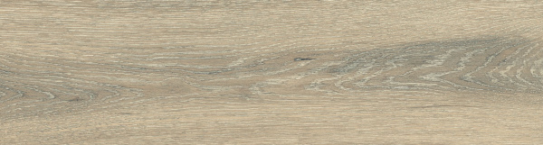 На изображениях DW02 14,6x60x8 Непол.Рект. (Керамический гранит)