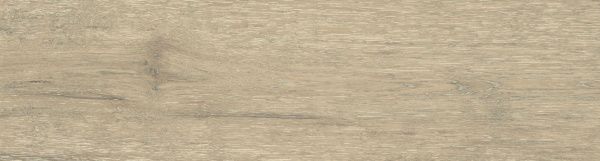 На изображениях DW02 14,6x60x8 Непол.Рект. (Керамический гранит)