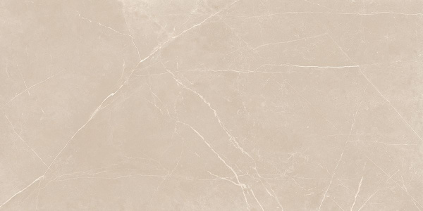 На изображениях NL01 60x120x10 Непол.Рект. (Керамический гранит)