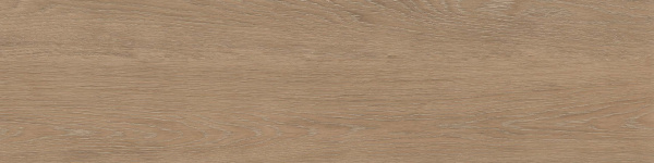 На изображениях RF02 14,6x60x8 Структур.Рект. (Керамический гранит)