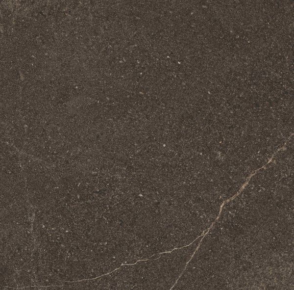 На изображениях GB04 60x60x10 Непол.Рект. (Керамический гранит)