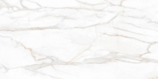 На изображениях SM02 60x120x10 Полир. (Керамический гранит)