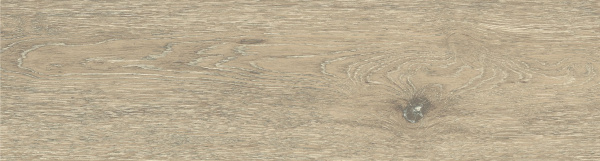 На изображениях DW02 14,6x60x8 Непол.Рект. (Керамический гранит)