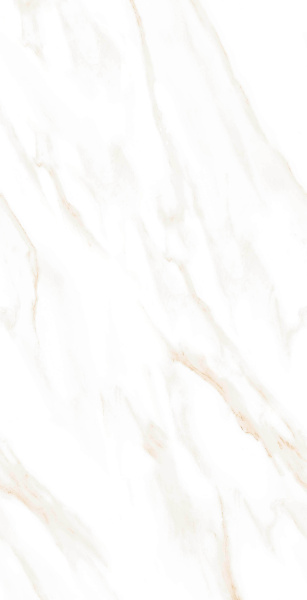 На изображениях MOG201 60x120x9 Полир. (Керамический гранит) 46,08 м2