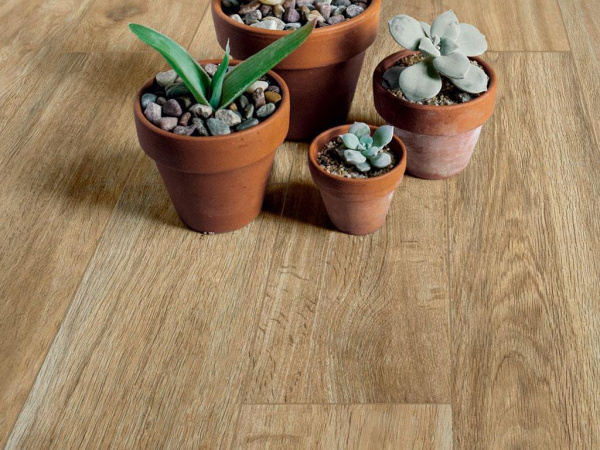 На фото Керамогранит WOODGLAM (Ragno)