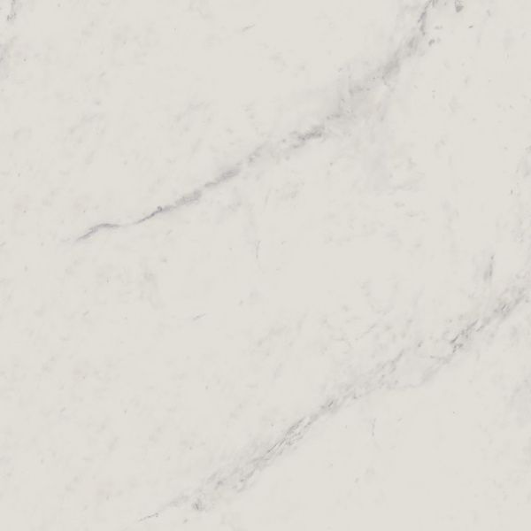 На изображениях Melody