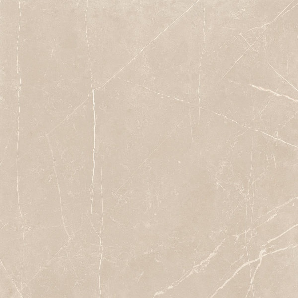 На изображениях NL01 60x60x10 Полир. (Керамический гранит)