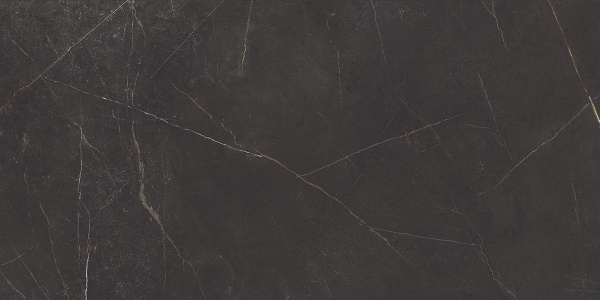 На изображениях NL04 60x120x10 Непол.Рект. (Керамический гранит)