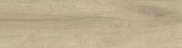 На изображениях DW02 14,6x60x8 Непол.Рект. (Керамический гранит)