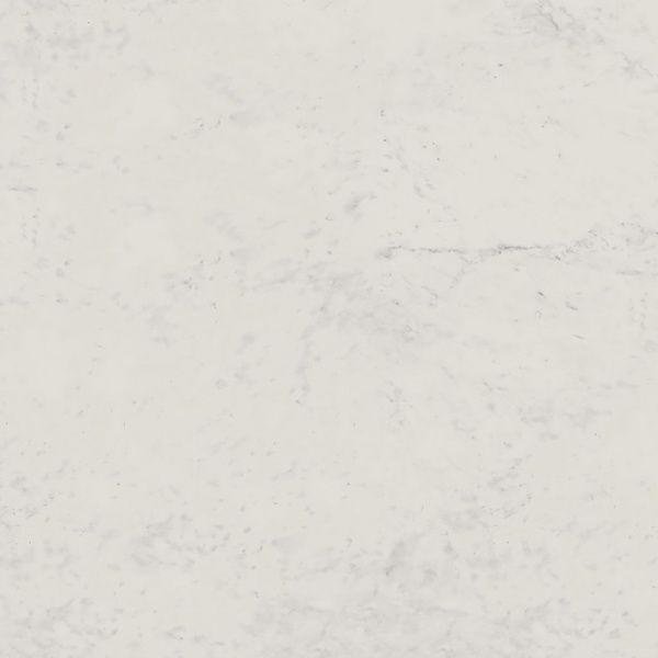 На изображениях Melody