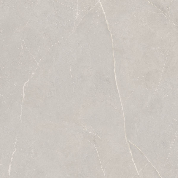 На изображениях NL02 80x80x11 Непол.Рект. (Керамический гранит)