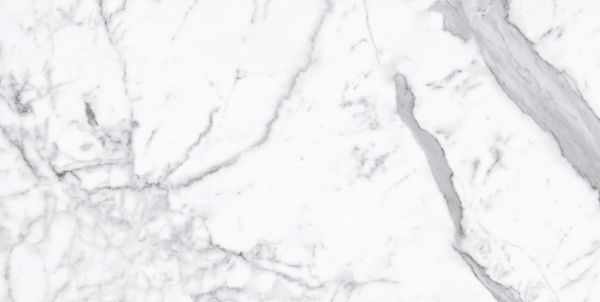 На изображениях Montis