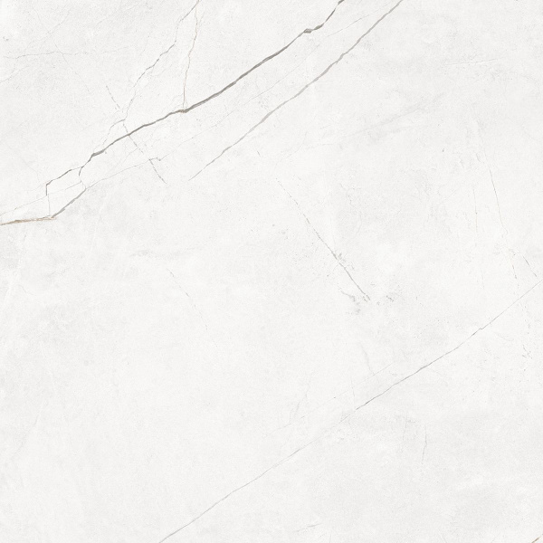 На изображениях NL00 60x60x10 Непол.Рект. (Керамический гранит)