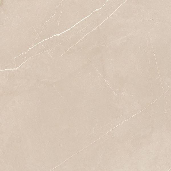 На изображениях NL01 60x60x10 Непол.Рект. (Керамический гранит)