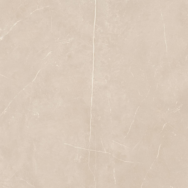 На изображениях NL01 60x60x10 Непол.Рект. (Керамический гранит)