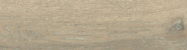 На изображениях DW02 14,6x60x8 Непол.Рект. (Керамический гранит)