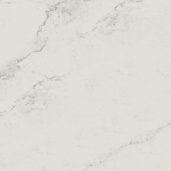 На изображениях Melody