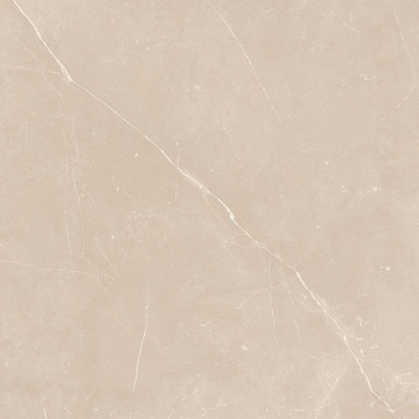 На изображениях NL01 60x60x10 Непол.Рект. (Керамический гранит)