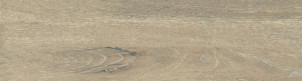 На изображениях DW02 14,6x60x8 Непол.Рект. (Керамический гранит)