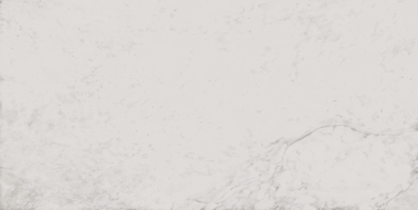 На изображениях MO01 30,6x60,9x8 Непол. (Керамический гранит)