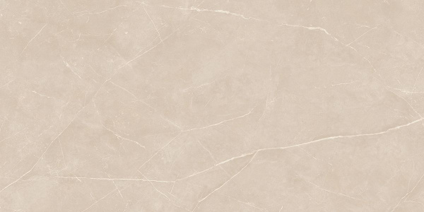 На изображениях NL01 80x160x11 Непол.Рект. (Керамический гранит)