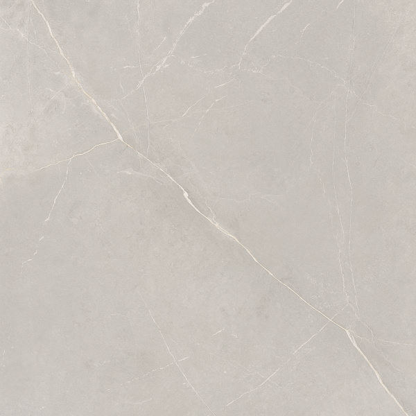 На изображениях NL02 60x60x10 Непол.Рект. (Керамический гранит)