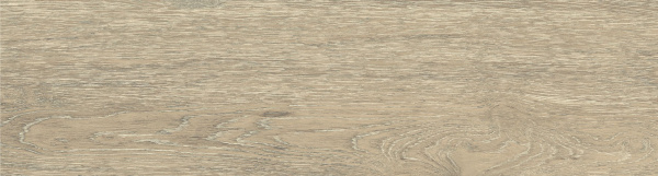 На изображениях DW02 14,6x60x8 Непол.Рект. (Керамический гранит)