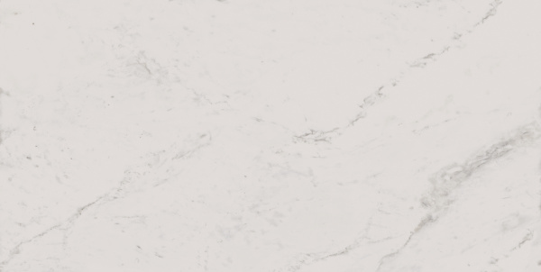 На изображениях MO01 30,6x60,9x8 Непол. (Керамический гранит)