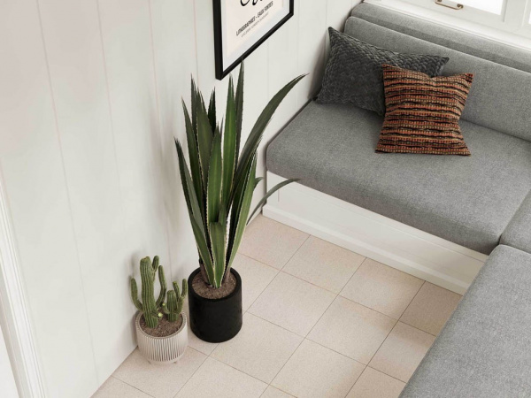 На фото Standard