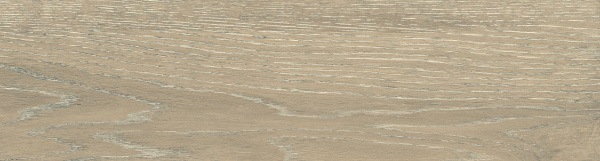 На изображениях DW02 14,6x60x8 Непол.Рект. (Керамический гранит)