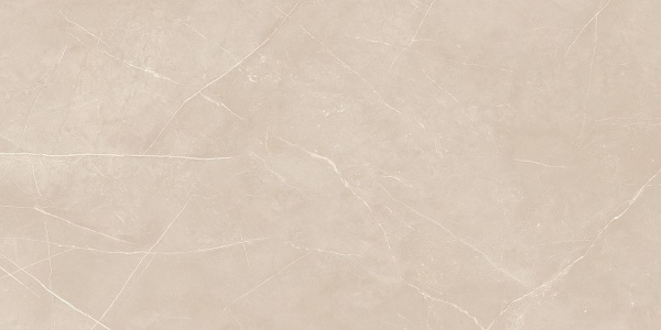 На изображениях NL01 80x160x11 Непол.Рект. (Керамический гранит)