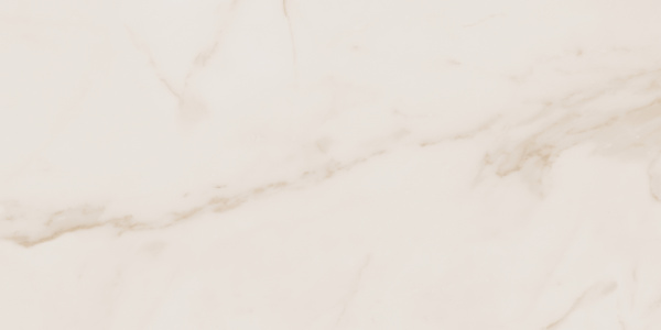 На изображениях MO02 30,6x60,9x8 Непол. (Керамический гранит)