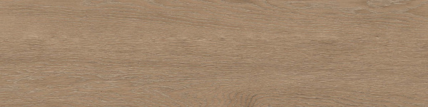 На изображениях RF02 14,6x60x8 Структур.Рект. (Керамический гранит)