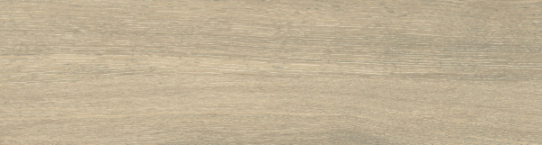 На изображениях DW02 14,6x60x8 Непол.Рект. (Керамический гранит)