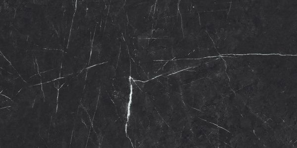 На изображениях Vision