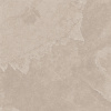 На изображениях TE01 60x60x10 Непол.Рект. (Керамический гранит)