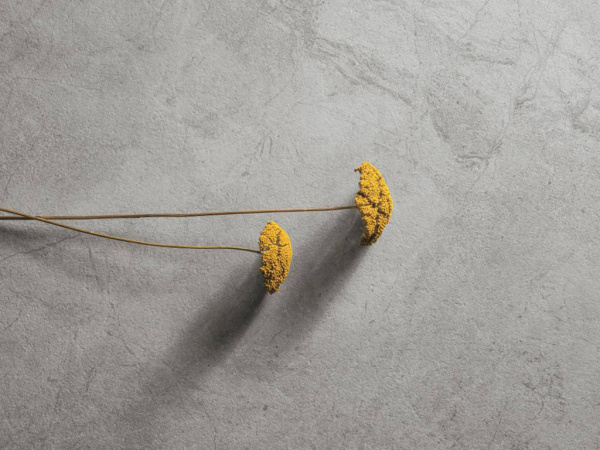 На фото Плитка RIVER (Refin)