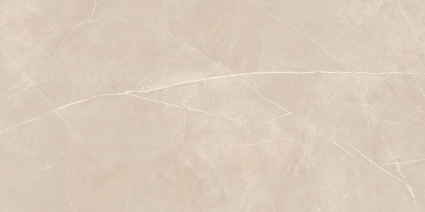 На изображениях NL01 80x160x11 Непол.Рект. (Керамический гранит)