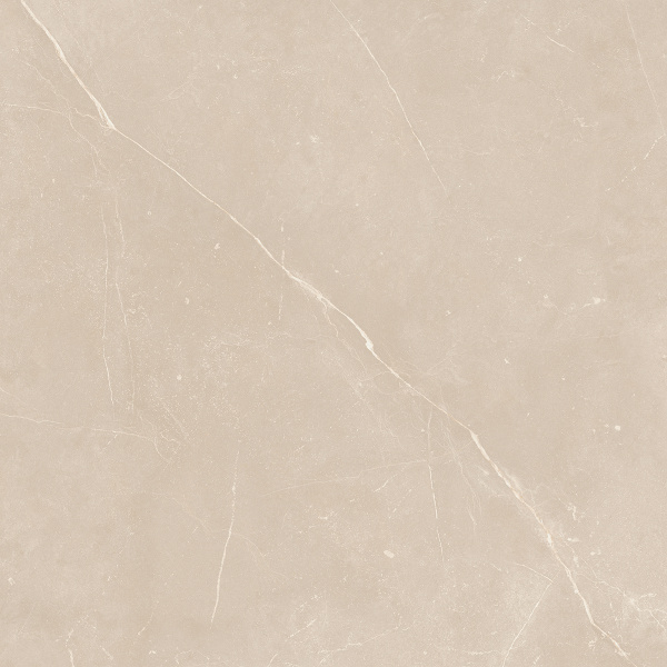 На изображениях NL01 60x60x10 Полир. (Керамический гранит)