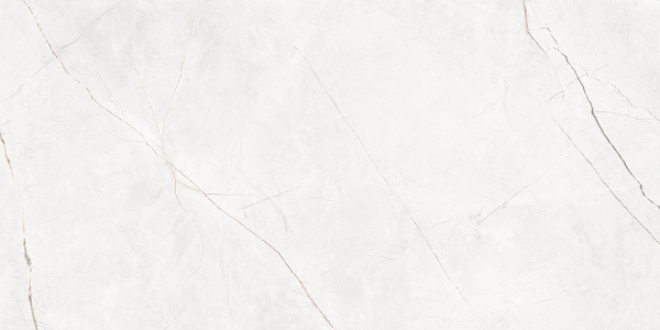 На изображениях NL00 60x120x10 Полир. (Керамический гранит)