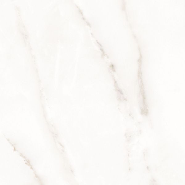 На изображениях Melody