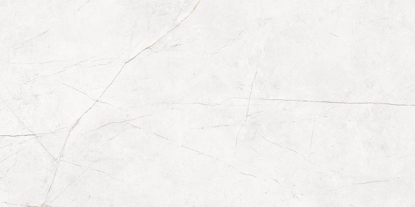 На изображениях NL00 60x120x10 Непол.Рект. (Керамический гранит)