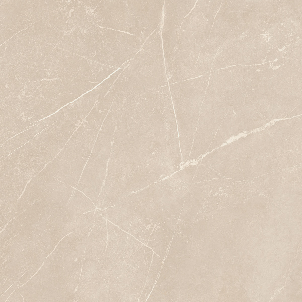 На изображениях NL01 60x60x10 Полир. (Керамический гранит)