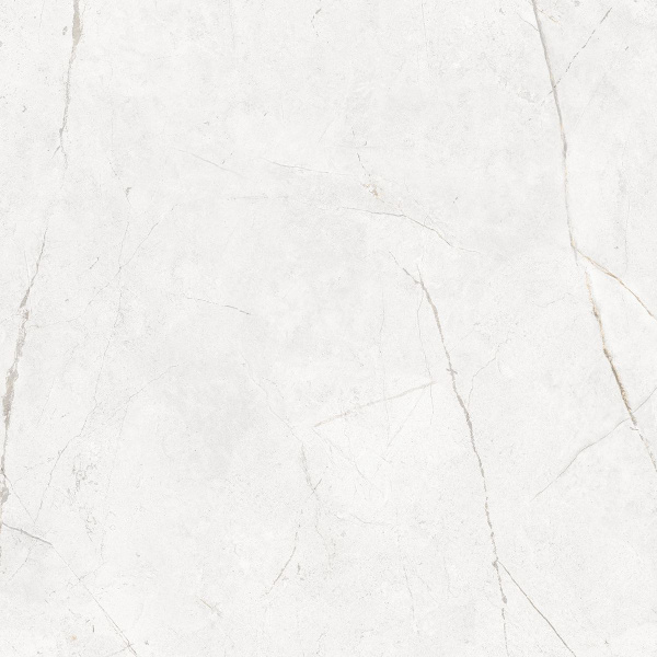 На изображениях NL00 60x60x10 Непол.Рект. (Керамический гранит)