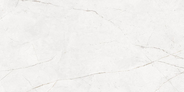 На изображениях NL00 60x120x10 Непол.Рект. (Керамический гранит)