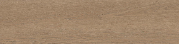 На изображениях RF02 14,6x60x8 Структур.Рект. (Керамический гранит)